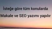 Makale, metin, hikaye ve Ceo yazarlığı