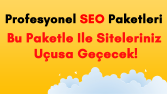Profesyonel SEO Paketleri