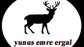 Logo tasarımı