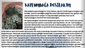 KAPLUMBAĞA DOSTLARIM