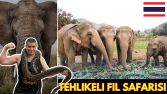 Youtube banner tasarımı