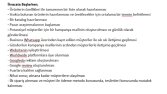 Şirket Analiz Raporu