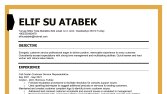 cv