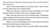 Genç Don Quijote