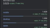 Organik Web Trafik