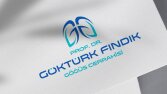 Prof. Dr. Göktürk Fındık Logo Tasarımı