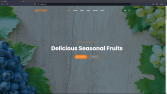 Website Tasarımlarım