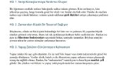 SEO Makale Örneği: Python Pandas ile Veri Analizi