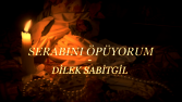 Sevgili Dilek SABİTGİL'in şiiri için yaptığım "poetry film"