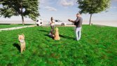 3D Yapı ve Cisim,Logo Modelleme