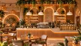 CAFE VE TİCARİ MEKANLAR 