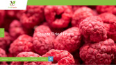 Fresh Apple Seo ve Web Tasarım