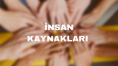 İnsan Kaynakları Yönetimi