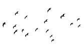 KONSEPT