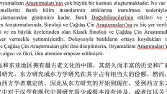 Akademik Çeviri 