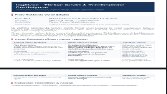 Mobil Uygulama ve Yerelleştirme (Localization) Çevirisi: İngilizce - Türkçenn