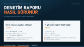 Teknik SEO Denetim Raporu - Bulgu Formatı Örneği