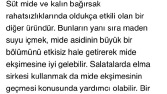 Metin yazarlığı