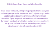 YOTUBE SHORT VİDEO YAZILIMI