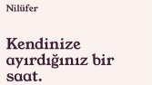 Nilüfer Güzellik Salonu - Tanıtım Sitesi (Örnek Çalışma)