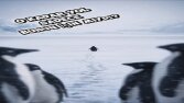 Yapay Zeka Teknolojisi ile Viral Odaklı Yeni Nesil Videolar