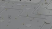 Logo Animation