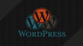 Profesyonel Wordpress