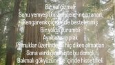 hayallerini yazıya dök