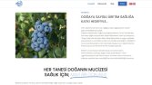 azurberry.com | Tasarım ve Kodlama Eticaret Sitesi