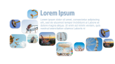 Web Sitesi Tasarımı