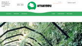 Wordpress ile web sayfa geliştirme