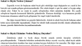 Sakal ve Bıyık Ekim Teknikleri Nelerdir?