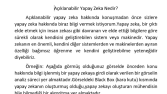 Açıklanabilir Yapay Zeka 
