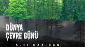 Afiş Tasarımı 