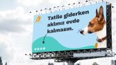 Petdaiz markası için hazırlamış olduğum billboard tasarımı