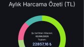 Bütçe, Yatırım Takip Uygulaması