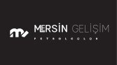 Mersin Gelişim Logo Çalışması