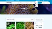 Awal B. - Çok Dilli Global WordPress Sitesi