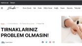 Web Site İçeriği