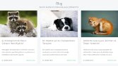 Blog Yazılarım