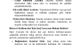 Elektrikli Araç