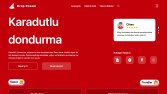 E-ticaret web site