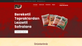 Hazırladığım çeşitli wordpress siteleri ve tasarımları