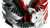EAGLES TÜRKİYE SRIMS ORGANİZASYONU