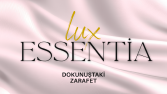 Markanız için akılda kalıcı ve modern logo tasarımları