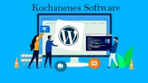 Wordpress Web Desing