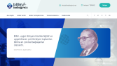 wordpress tasarımlarım