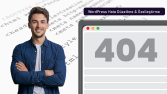 WordPress Hata Düzeltme & Özelleştirme