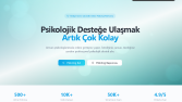Web Sitesi ve Web Uygulamaları, Pazar yerleri
