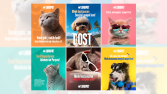 Lunapet Social Media